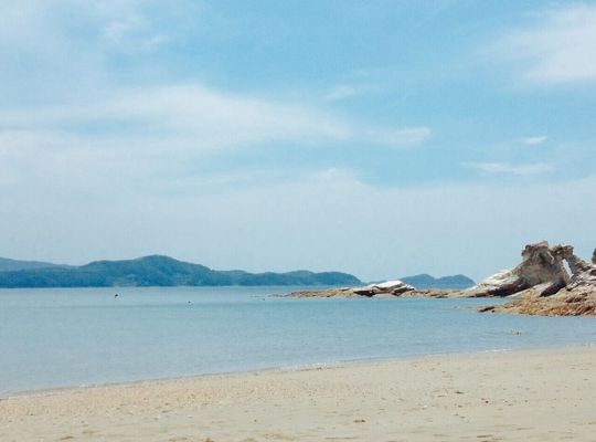 魚